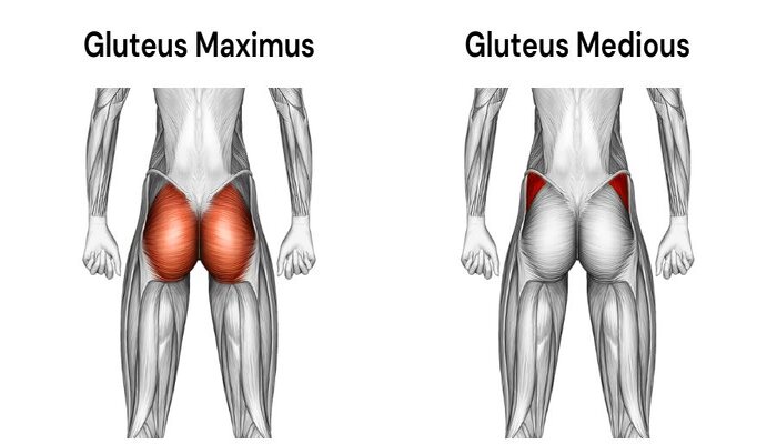 Leg Press: A Comprehensive Guide for Maximizing Lower Body Strength
