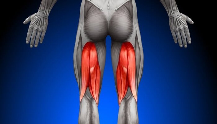 Leg Press: A Comprehensive Guide for Maximizing Lower Body Strength