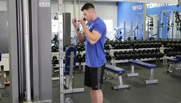 10 Best Bicep Curl Exercises: 19 Inch Arms