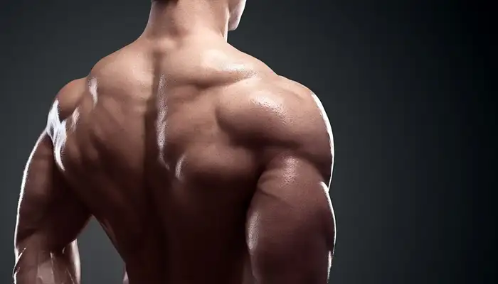 Best Lat Pulldown Variations for a Stronger Back