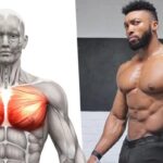 6 Best Chest Exercises For Chest You Need!