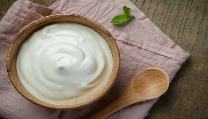 What Is the Best Source of Protein? Top Protein Foods for Muscle Gain, Weight Loss, and Vegetarian Diets