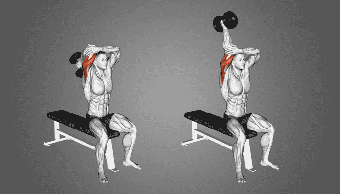 triceps workout with dumbbells, triceps workout at home, chest and triceps workout, biceps and triceps workout gym, best triceps workout, shoulders and triceps workout, triceps workout chart, dumbbell triceps workout, triceps workout at gym, chest shoulders and triceps workout