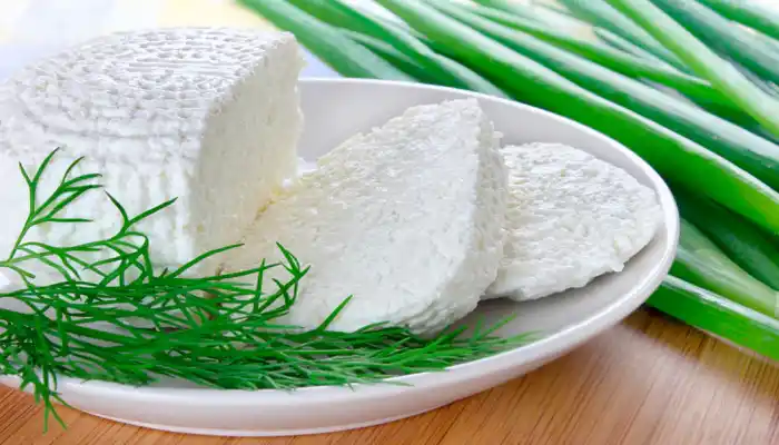 What Is the Best Source of Protein? Top Protein Foods for Muscle Gain, Weight Loss, and Vegetarian Diets