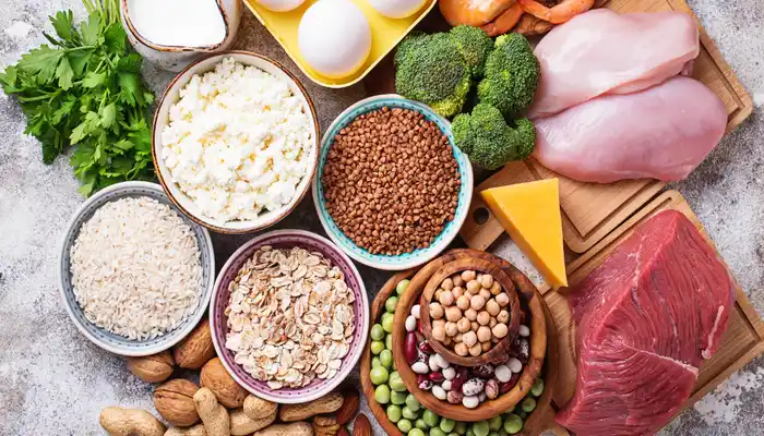 sources of protein