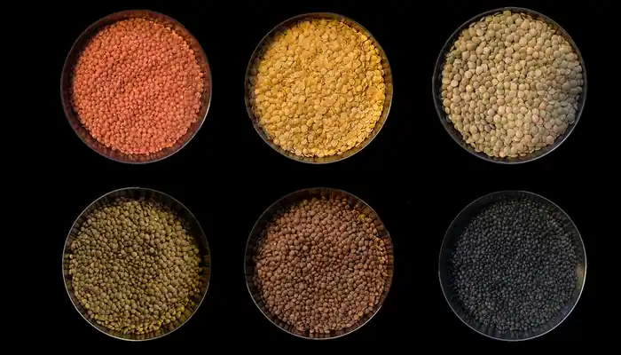 What Is the Best Source of Protein? Top Protein Foods for Muscle Gain, Weight Loss, and Vegetarian Diets