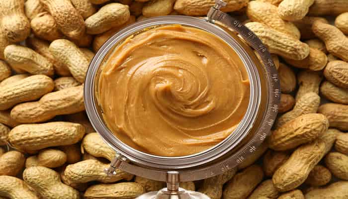 What Is the Best Source of Protein? Top Protein Foods for Muscle Gain, Weight Loss, and Vegetarian Diets