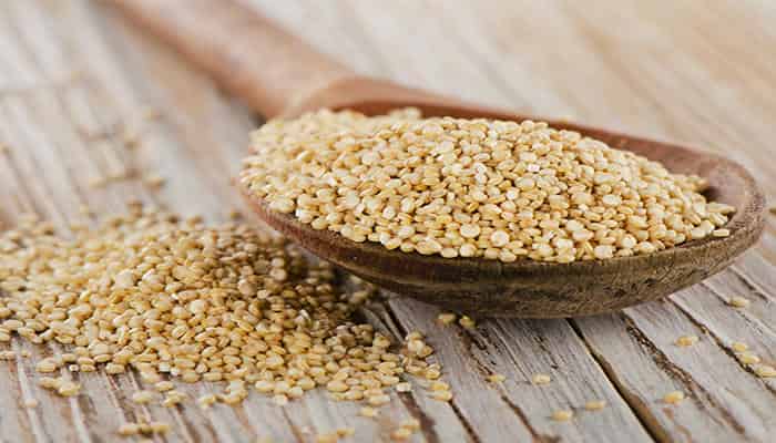 What Is the Best Source of Protein? Top Protein Foods for Muscle Gain, Weight Loss, and Vegetarian Diets