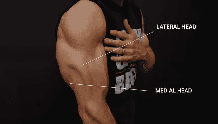 triceps workout with dumbbells, triceps workout at home, chest and triceps workout, biceps and triceps workout gym, best triceps workout, shoulders and triceps workout, triceps workout chart, dumbbell triceps workout, triceps workout at gym, chest shoulders and triceps workout