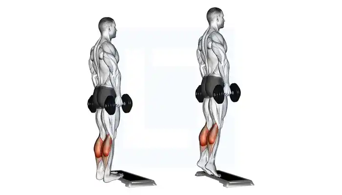 how to grow calves, how to grow calves fast, how to grow calves at home, how to grow calves with bad genetics, how to grow calves women, how to grow calves exercise, how to grow calves muscles, how to grow calves bigger, how to grow calves and ankles, how to grow calves without weights, how to grow calves men, how to grow calves at gym, how to grow calves on treadmill, how to grow calves with dumbbells, how to grow bigger calves, how to grow inner calves, how to grow outer calves, how to grow my calves bigger, how to grow long calves