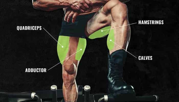 are squats enough, is squatting enough for legs, is squatting enough for leg day, are squats enough for leg day, are squats enough for quads, are squats enough for glutes, are squats enough for hamstrings, are squats enough for calves, are squats enough to build legs, are squats enough for lower body, are squats enough for leg workout, benefits of squats sexually, squats benefits female, squat exercise benefits, disadvantages of squats for females