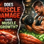Muscle Damage Is Not the Main Driver of Muscle Growth: What Science Actually Says